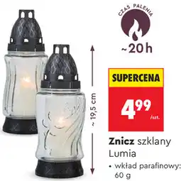 Biedronka Znicz szklany Lumia wkład parafinowy oferta
