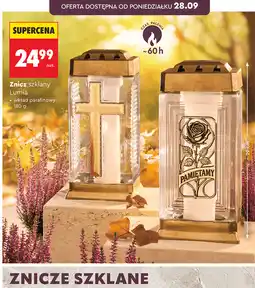 Biedronka Znicz szklany Lumia oferta