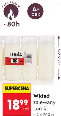 Biedronka Wkład zalewany Lumia oferta