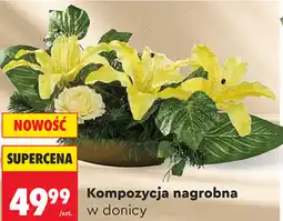 Biedronka Kompozycja nagrobna w donicy oferta