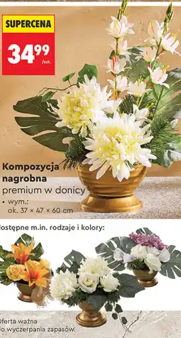 Biedronka Kompozycja nagrobna premium w donicy oferta