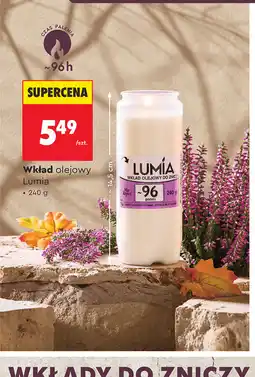 Biedronka Wkład olejowy Lumia oferta