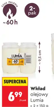 Biedronka Wkład olejowy Lumia oferta