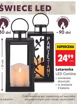 Biedronka Latarenka LED Cortina oferta