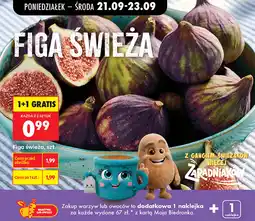Biedronka Figa świeża, szt oferta
