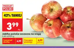 Biedronka Jabłko polskie wczesne na wagę oferta