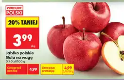Biedronka Jabłko polskie Gala na wagę oferta