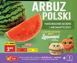 Biedronka Arbuz polski na wagę oferta