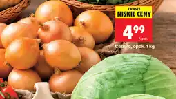 Biedronka Cebula, opak oferta
