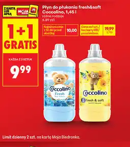Biedronka Płyn do płukania fresh&soft Coccolino różne rodzaje oferta
