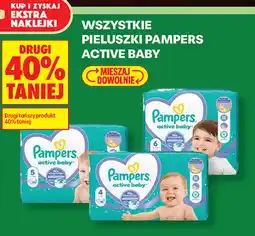Biedronka Wszystkie pieluszki Pampers Active Baby oferta