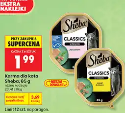 Biedronka Karma dla kota Sheba oferta
