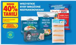 Biedronka Wszystkie ryby mrożone niepanierowane oferta