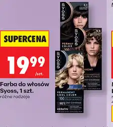 Biedronka Farba do włosów Syoss oferta