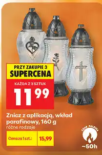 Biedronka Znicz z aplikacją, wkład parafinowy, 160 g, różne rodzaje oferta