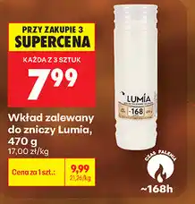 Biedronka Wkład zalewany do zniczy Lumia oferta