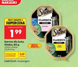Biedronka Karma dla kota Sheba Classics w terynie z łososiem oferta