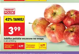 Biedronka Jabłka polskie wczesne na wagę oferta