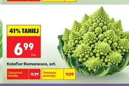 Biedronka Kalafior Romanesco oferta