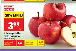 Biedronka Jabłka polskie Gala oferta