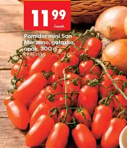 Biedronka Pomidory mini San Marzano gałązka oferta