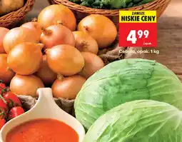Biedronka Cebula oferta