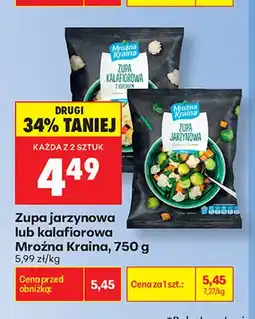 Biedronka Zupa jarzynowa Mroźna Kraina oferta
