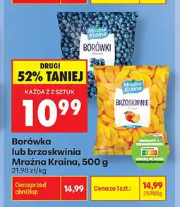 Biedronka Borówka Mroźna Kraina oferta