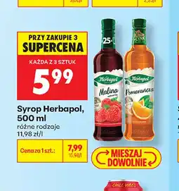 Biedronka Syrop Herbapol Malina oferta