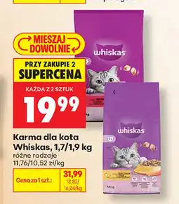 Biedronka Karma dla kota Whiskas oferta