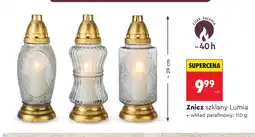 Biedronka Znicz szklany Lumia oferta
