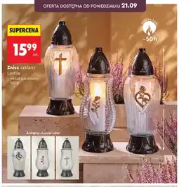 Biedronka Znicz szklany Lumia oferta