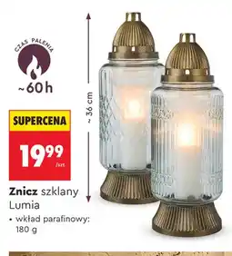 Biedronka Znicz szklany Lumia oferta