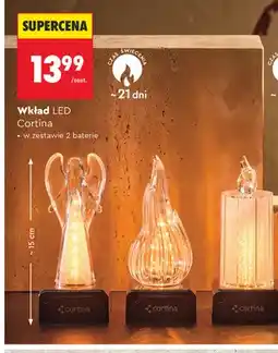 Biedronka Wkład LED Cortina oferta