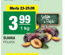 Spar Śliwki polskie oferta