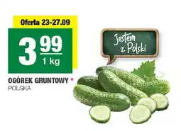 Spar Ogórki gruntowe polskie oferta