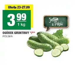 Spar Ogórki gruntowe oferta