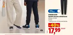 Lidl Spodnie dresowe młodzieżowe oferta