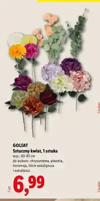 Lidl Sztuczny kwiat chryzantema Goliat oferta