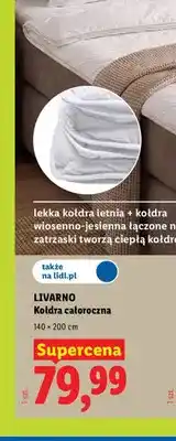 Lidl Kołdra całoroczna Livarno 140x200 cm oferta