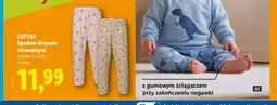 Lidl Spodnie dresowe niemowlęce Lupilu oferta