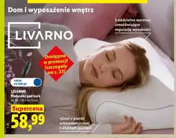 Lidl Poduszka pod kark ok. 60x36x12/10 cm Livarno oferta