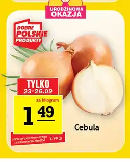 Gram Market Cebula oferta