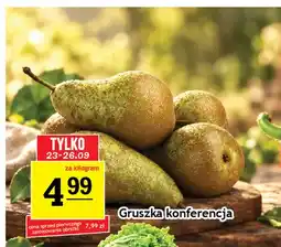 Gram Market Gruszki konferencja oferta