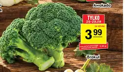 Gram Market Brokuł oferta