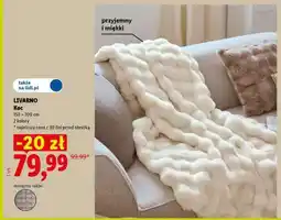 Lidl Livarno Koc oferta