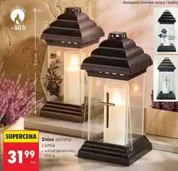 Biedronka Znicz szklany Lumia oferta