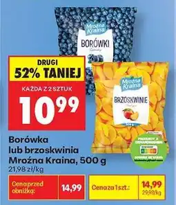 Biedronka Borówka lub brzoskwinia Mroźna Kraina, 500 g oferta