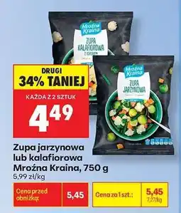 Biedronka Zupa jarzynowa lub kalafiorowa Mroźna Kraina , 750 g oferta