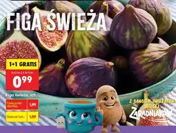 Biedronka Figa świeża szt oferta
